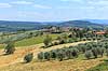 Toscana. Landskab i Toscana  Toscana Italien   Toscany, toscansk, turisme, sightseeing