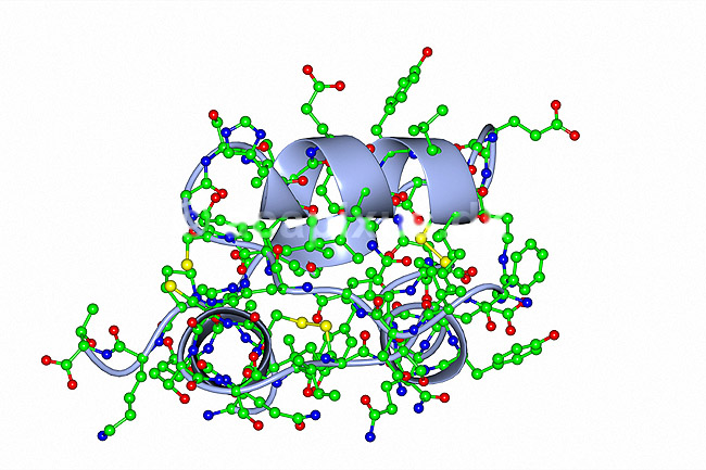 Insulin. Insulin molekyle model - hormon til behandling af sukkersyge eller diabetes mellitus. Insulin er et peptidhormon som regulerer kulhydraters metabolisme; ; ; ; ; ; videnskab biokemi