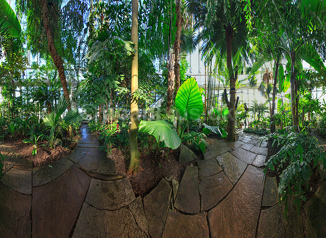Palmehuset. 360� panorama af tropiske og subtropisk jungle i Palmehuset midt i Botanisk Have. En del af Statens Naturhistoriske Museum. Opf�rt 1782-74, arkitekt Peter Christian B�nnecke; ; K�benhavn; Danmark; ; Planter; Botanik, botanisk samling, v�ksthuse, drivhuse, regnskov, palmer