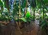 Palmehuset. 360� panorama af tropiske og subtropisk jungle i Palmehuset midt i Botanisk Have. En del af Statens Naturhistoriske Museum. Opf�rt 1782-74, arkitekt Peter Christian B�nnecke  K�benhavn Danmark  Planter Botanik, botanisk samling, v�ksthuse, drivhuse, regnskov, palmer