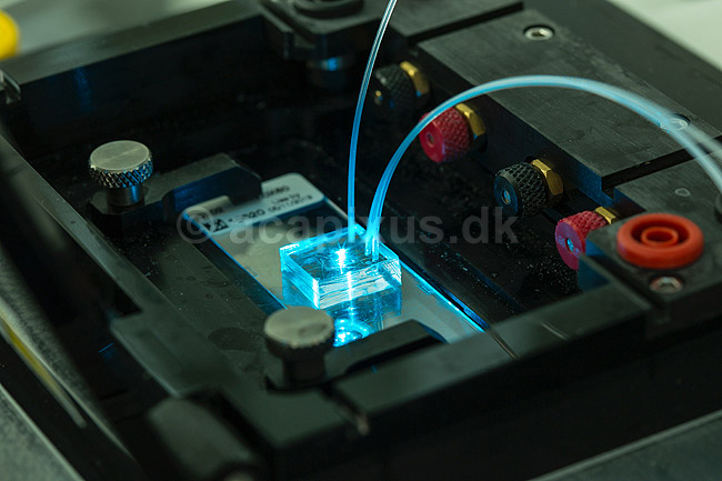 Microfluidics chip. Microfluidics chip monteriet over bl� laser i mikroskop. Andvendes til enkapsulering af enkelt celler i picodr�ber til efterf�lgende analyse p� enkelt celle niveau.; ; ; Danmark; ; ; Videnskab, bioteknologi, laboratorier, genmanipulation, proteinproduktion, enzymproduktion