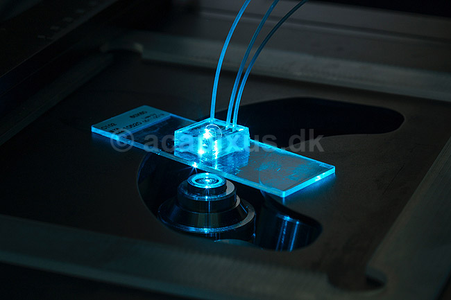Microfluidics chip. Microfluidics chip monteriet over bl� laser i mikroskop. Andvendes til enkapsulering af enkelt celler i picodr�ber til efterf�lgende analyse p� enkelt celle niveau.; ; ; Danmark; ; ; Videnskab, bioteknologi, laboratorier, genmanipulation, proteinproduktion, enzymproduktion