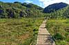 Vandresti. Sti i fjeldet passerer over mose p� vej imod Preikestolen n�r Stavanger i Norge  Preikestolen / Forsand / Stavanger Norge   Vandring, vandretur, fjeldvandring