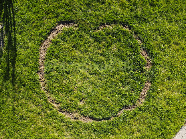 Hekseringe. En heksering med form som et hjerte i gr�spl�ne; ; M�l�v; Danmark; ; svampe; haver, gr�spl�ner, dronefoto