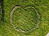 Hekseringe. En heksering med form som et hjerte i gr�spl�ne  M�l�v Danmark  svampe haver, gr�spl�ner, dronefoto