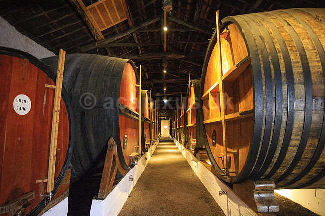 Portvin. Portvin lagres til Ruby Port p� egetr�sfade i vink�lderen hos producenten Taylor's; ; Vila Nova de Gaia / Porto; Portugal; ; ; Vin, vine, drikkevarer, vinproduktion, lagring, Taylors