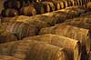 Portvin. Portvin lagres til Tawny Port p� egetr�sfade i vink�lderen hos producenten Taylor's  Vila Nova de Gaia / Porto Portugal   Vin, vine, drikkevarer, vinproduktion, lagring, Taylors
