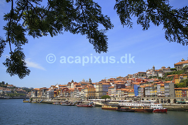 Porto. Duoro floden og den gamle bydel Ribeira i Porto; ; Porto; Portugal; ; ; Bybilleder, floder