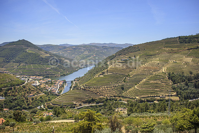 Portvinsmarker. Vinmarker med vinstokke til portvin p� begge bredder af Duoro floden; ; ; Portugal; ; ; Vin, vine, drikkevarer, vinproduktion, vindruer