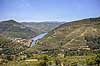 Portvinsmarker. Vinmarker med vinstokke til portvin p� begge bredder af Duoro floden   Portugal   Vin, vine, drikkevarer, vinproduktion, vindruer