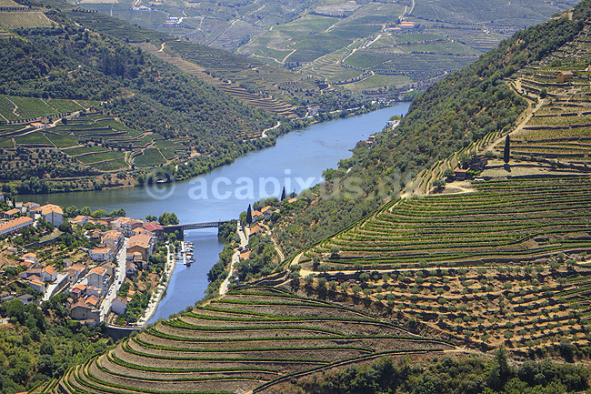Portvinsmarker. Vinmarker med vinstokke til portvin p� begge bredder af Duoro floden; ; ; Portugal; ; ; Vin, vine, drikkevarer, vinproduktion, vindruer