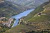 Portvinsmarker. Vinmarker med vinstokke til portvin p� begge bredder af Duoro floden   Portugal   Vin, vine, drikkevarer, vinproduktion, vindruer