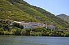 Portvinsmarker. Vinmarker med vinstokke til portvin ved Duoro floden   Portugal   Vin, vine, drikkevarer, vinproduktion, vindruer