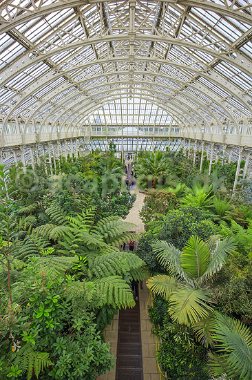 Kew Gardens. Temperate House med palmer og bregner i Kew Gardens / Royal Botanic Gardens, Kew; ; Kew Gardens / London; England; ; sev�rdigheder; Botanisk have, botaniske haver, planter, botanik, drivhuse