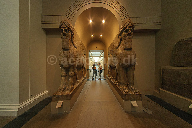 British Museum. Assyriske (ca 865-860 f.kf.) skulpture (winged human-headed bull) fra Nimrud udstillet i The British Museum; ; The British Museum / London; England; ; sev�rdigheder; ark�ologi, Assyrien, Iraq, Irak