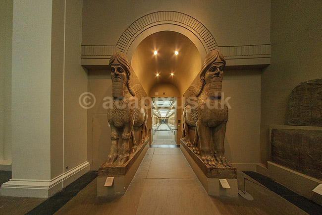 British Museum. Assyriske (ca 865-860 f.kf.) skulpture (winged human-headed bull) fra Nimrud udstillet i The British Museum; ; The British Museum / London; England; ; sev�rdigheder; ark�ologi, Assyrien, Iraq, Irak
