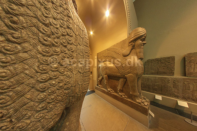 British Museum. Assyriske (ca 865-860 f.kf.) skulpture (winged human-headed bull) fra Nimrud udstillet i The British Museum; ; The British Museum / London; England; ; sev�rdigheder; ark�ologi, Assyrien, Iraq, Irak