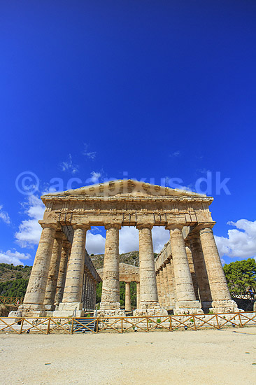 Segesta Templet. Temple of Segesta er et Dorisk tempel p� Sicilien i Trapani provinsen. Segesta er us�dvanligt velbevaret og tilsyneladende aldrig f�rdigbygget. Bygget ca 420 fkf; ; Segesta / Sicilien; Italien; ; sev�rdigheder; Templer, s�jler