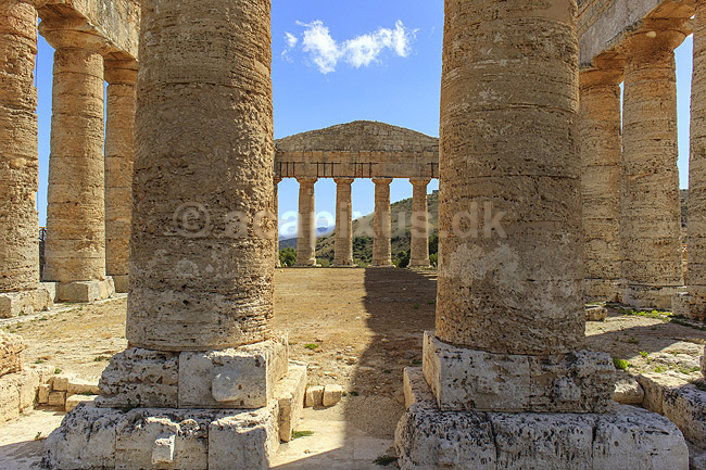Segesta Templet. Temple of Segesta er et Dorisk tempel p� Sicilien i Trapani provinsen. Segesta er us�dvanligt velbevaret og tilsyneladende aldrig f�rdigbygget. Bygget ca 420 fkf; ; Segesta / Sicilien; Italien; ; sev�rdigheder; Templer, s�jler