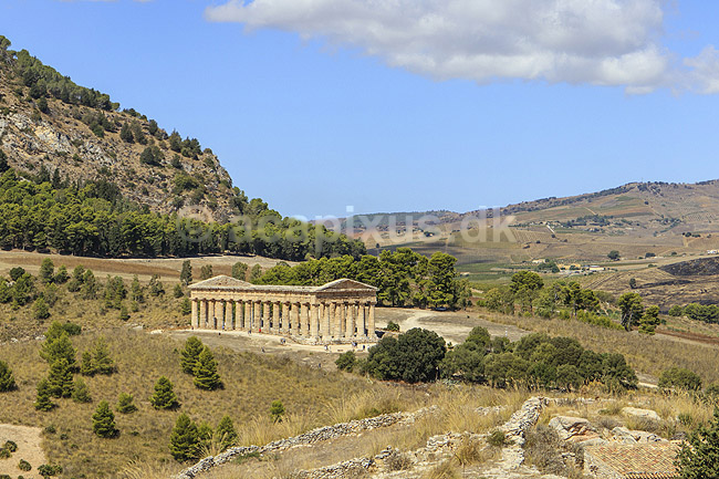 Segesta Templet. Temple of Segesta er et Dorisk tempel p� Sicilien i Trapani provinsen. Segesta er us�dvanligt velbevaret og tilsyneladende aldrig f�rdigbygget. Bygget ca 420 fkf; ; Segesta / Sicilien; Italien; ; sev�rdigheder; Templer, s�jler