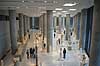 Akropolis Museum. Akropolismuseet eller Akropolismuseum, �bnet for offentligheden den 20. juni 2009 og huser genstande fra Akropolis  Akropolismuseet / Athen Gr�kenland  Sev�rdigheder Hellas, ark�ologi, historie, museum, udstillinger