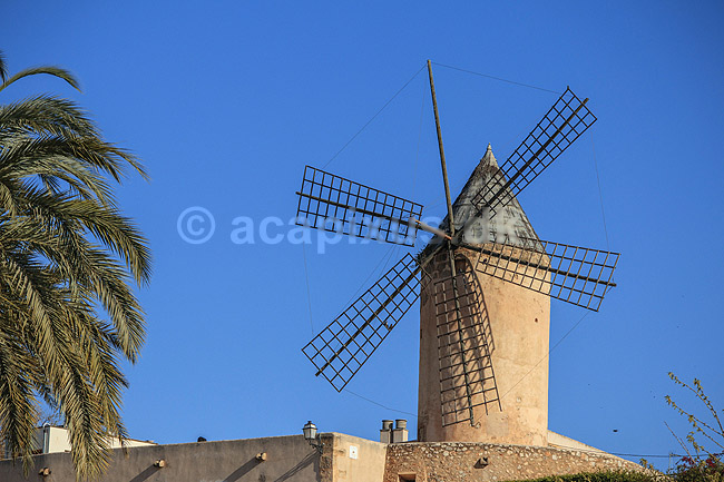 Gammel vindm�lle. Gammel vindm�lle ved havnepromenaden i Palma de Mallorca; ; Palma de Mallorca; Spanien; ; Sev�rdigheder; Vindm�ller, m�lle, m�ller, male mel