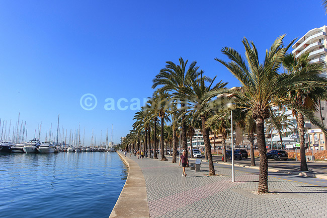 Havnepromenaden i Palma de Mallorca. Havnepromenaden ved Avenida de Gabriel Rocai i Palma de Mallorca; ; Palma de Mallorca; Spanien; ; Sev�rdigheder; Ferie, sommerferie