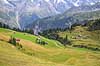 Alperne. Alpedal med Schiltbach bjergb�kken og Jungfrau massivet i baggrunden  Lauterbrunnen Schweiz   Alperne, bjerglandskab, Alpelandskab, bjergvandring