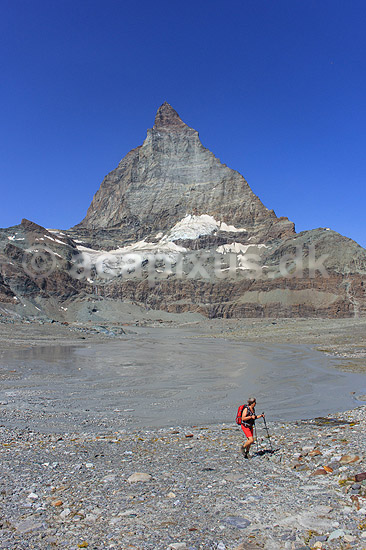 Matterhorn. Det ikoniske bjerg Matterhorn set fra Matterhorn Glacier Trail; ; Zermatt; Schweiz; ; ; Alperne, bjerglandskab, Alpelandskab