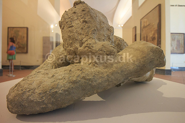 Pompeji. Afst�bning af beboer i Pompeii indebr�ndt i den varme pyroplasma - udstillet p� Ark�ologisk Museum i Napoli; ; Napoli / Campania; Italien; ; ; Ark�ologi, d�den, vulkaner, vulkanudbrud, pyroplastisk flow, Vesuvius, Vesuv, naturkatastrofer, turistsev�rdigheder, sev�rdigheder, turisme, Romerriget, romerne