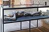Pompeji. Afst�bning af beboer i Pompeii indebr�ndt i den varme pyroplasma - udstillet i Villa dei Misteri  Pompeji / Pompei / Pompeii / Napoli / Campania Italien   Ark�ologi, vulkaner, vulkanudbrud, pyroplastisk flow, pyroplasma, Vesuvius, Vesuv, naturkatastrofer, turistsev�rdigheder, sev�rdigheder, turisme, Romerriget, romerne, ruiner, ruinbyer
