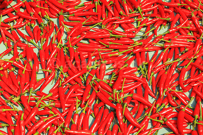 Chilli. Chillifrugter udstillet udenfor marked i Hoi An, der kom p� UNESCO World Heritage Site listen i 1999 og derefter blev en mega turistattraction; ; Hoi An; Vietnam; ; ; 