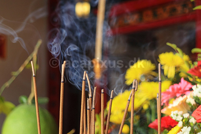 R�gelsespinde. R�gelsespinde sender r�g med dufte ud i tempel i Hoi An, der kom p� UNESCO World Heritage Site listen i 1999 og derefter blev en mega turistattraction; ; Hoi An; Vietnam; ; Sev�rdigheder; 