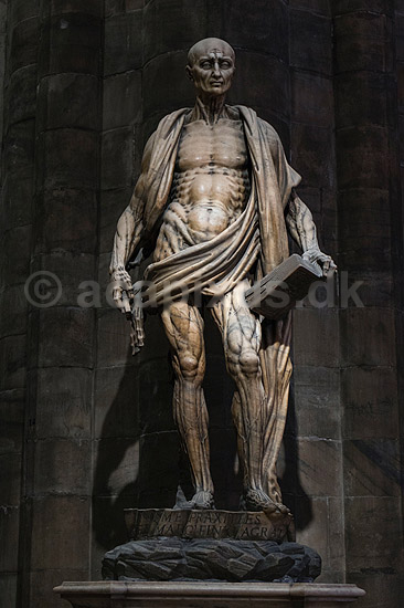 Apostelen Bartholom�us . Stattue forestillende Apostelen Bartholom�us eller Saint Bartholomeo Flayed i Milanos Domkirke. Statue af Marco D Agrate; ; Duomo di Milano / Milano; Italien; ; Sev�rdigheder; Kirke, kirker, kristendom, religion, katolisme, Jesus desciple