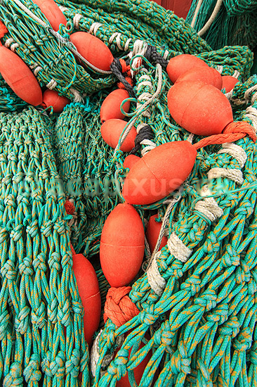 Fiskenet. Fiskenet p� havnen i Gilleleje; ; Gilleleje; Danmark; ; ; Fiskeri, fiskere, netfiskeri, havfiskeri