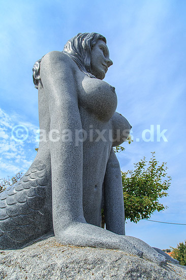 Den Store Havfrue statue p� Drag�r Havn. Den Store Havfrue, bestilt af Peter Bech, udf�rt i Kina i kinesisk granit, blev i 2006 rejst over for skulpturen Isbj�rn med unger p� Langeliniekajen og blev i 2018 flyttet til Drag�r Fort. Blev i 2025 anklaget for at v�re sexistisk, pornografisk og vulg�r og Drag�r Kommune �nsker den fjernet. Alle adspurgte under fortograferingen anser den dog som smuk og mener den om noget skulle have en mere fremtr�dende plads.; ; Drag�r; Danmark; ; sev�rdigheder; Havfruer, skulpturer