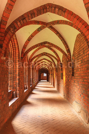 Vor Frue karmeliterkloster ved Sct. Mari� Kirke. Vandrehal i Vor Frue kloster ved Sct. Mari� Kirke i Helsing�r; ; Helsing�r; Danmark; ; Sev�rdigheder; turistsev�rdigheder, religion, kristendom, kirker, kirke, Karmeliterordenen, Helsing�r Stiftsadministration, bispekontor