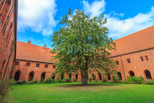 Vor Frue karmeliterkloster ved Sct. Mari� Kirke. Vandrehal i Vor Frue kloster ved Sct. Mari� Kirke i Helsing�r; ; Helsing�r; Danmark; ; Sev�rdigheder; turistsev�rdigheder, religion, kristendom, kirker, kirke, Karmeliterordenen, Helsing�r Stiftsadministration, bispekontor