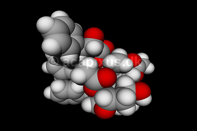 Taxol - anticancer drug; ; ; ; ; ; videnskab biokemi