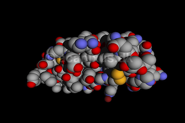 Insulin molekyle; ; ; ; ; ; videnskab biokemi