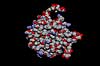 Elastase molecule      science biochemistry