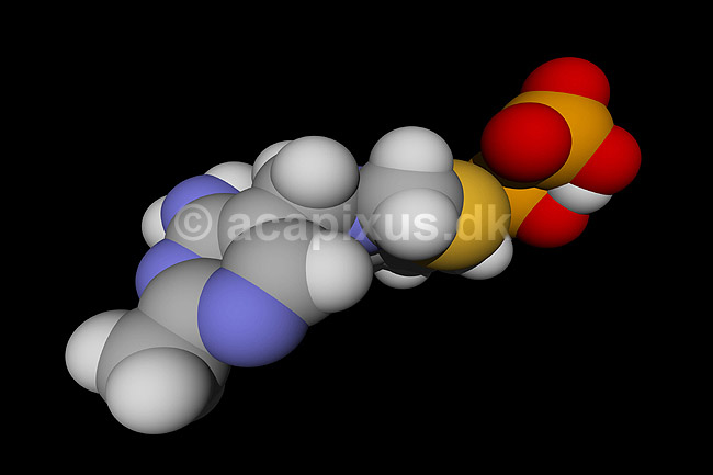 Vitamin B1, Thiamine; ; ; ; ; ; videnskab biokemi