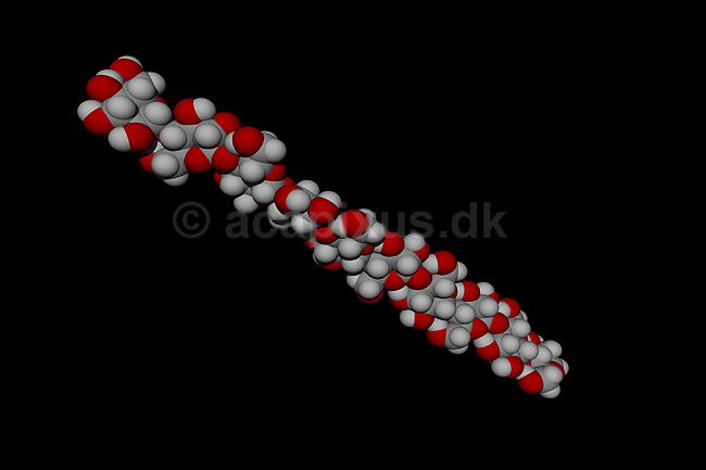 Cellulose - et polysaccharid; ; ; ; ; ; videnskab biokemi