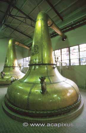 Whiskey produktion Destilleri hos japansk producent; ; Kyoto; Japan; Asien; ; 