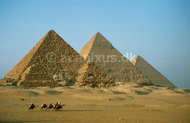 Dromedarryttere foran Giza pyramiderne. Fra venstre Mycerinus, Chephren og Cheops; ; Giza, Cairo; Egypten; Afrika; ; 