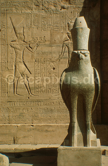 Horus Templet. Statue af falke guden Horus.; ; Edfu; Egypten; Afrika; ; 