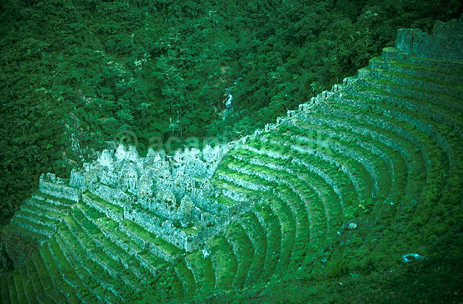 Hui�ay Huayna. Inca ruin p� Inca Trail.; ; Inca Trail / Cuzco; Peru; Syd Amerika; ; 