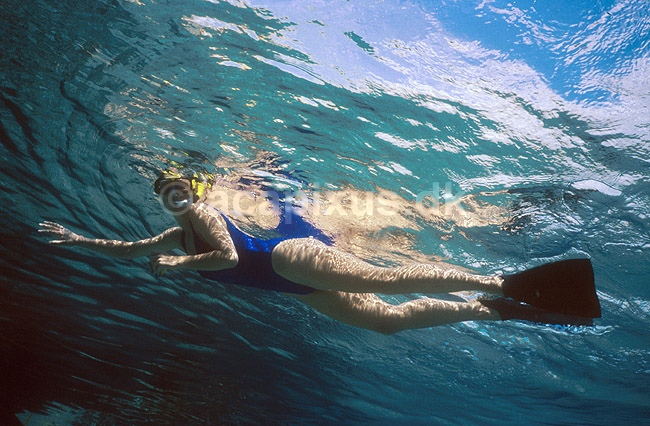 Sv�mmedykker i vandoverfladen; ; R�dehavet / Eilat ; Israel; Asien; ; underwands sports sommerferie