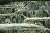 Fish ladder on Uggerby �   Denmark   