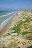 The costal cliff at M�rup  L�nstrup / North Jutland Denmark   landscapes